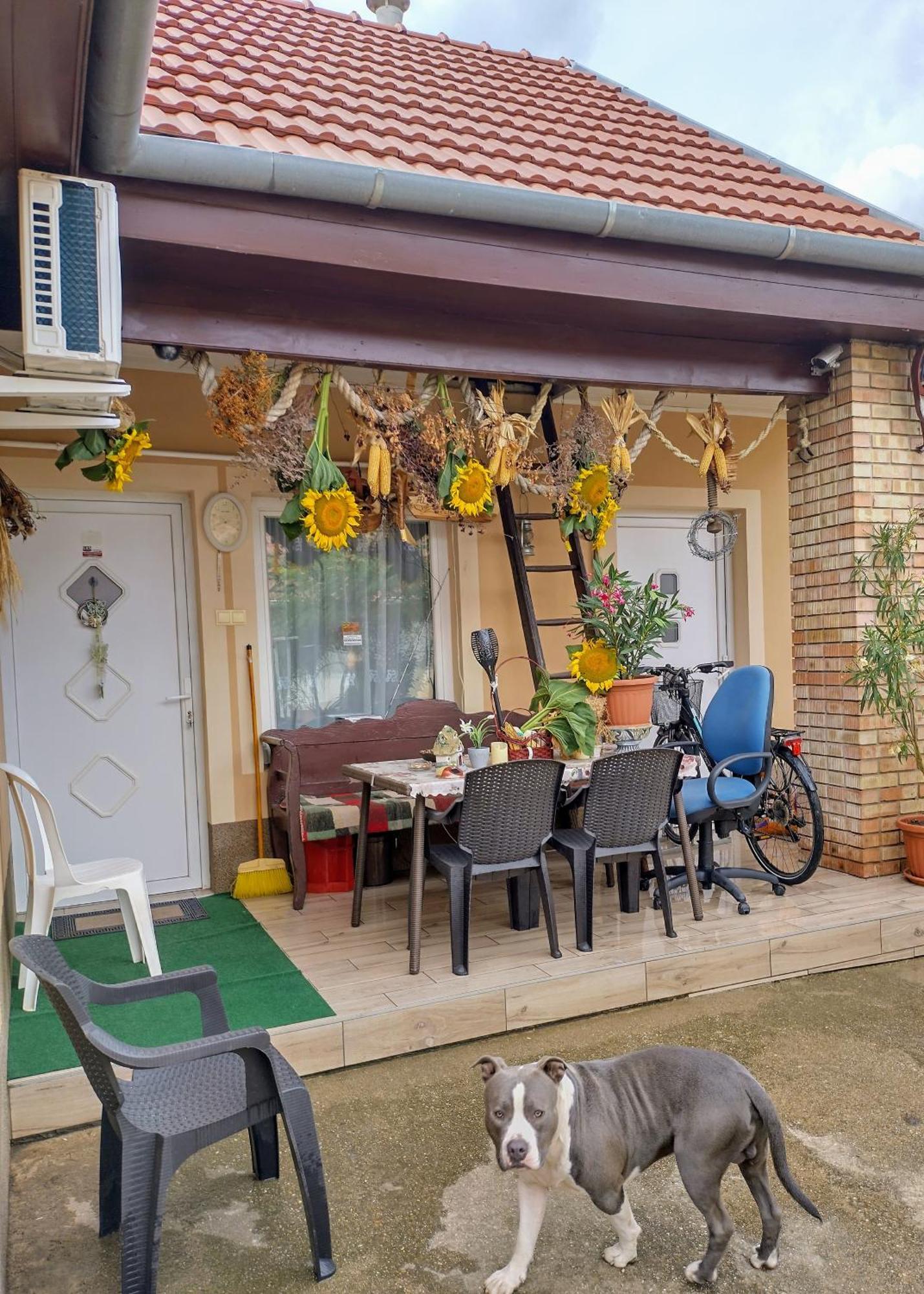 Apartamento Bundik Vendégház Berettyóújfalu Exterior foto